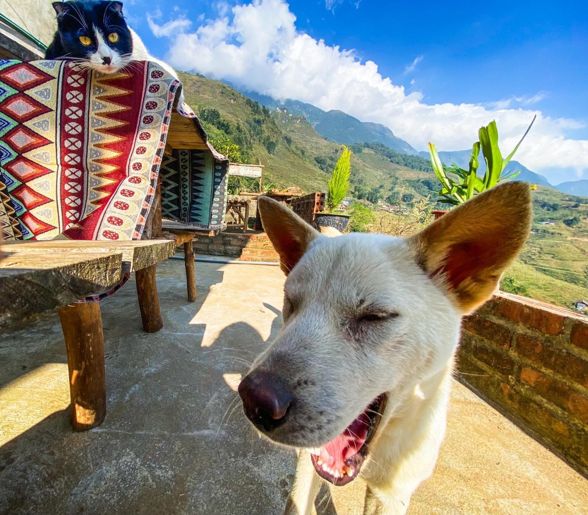 Pham'S House - Homestay & Cafe Sapa Exteriér fotografie