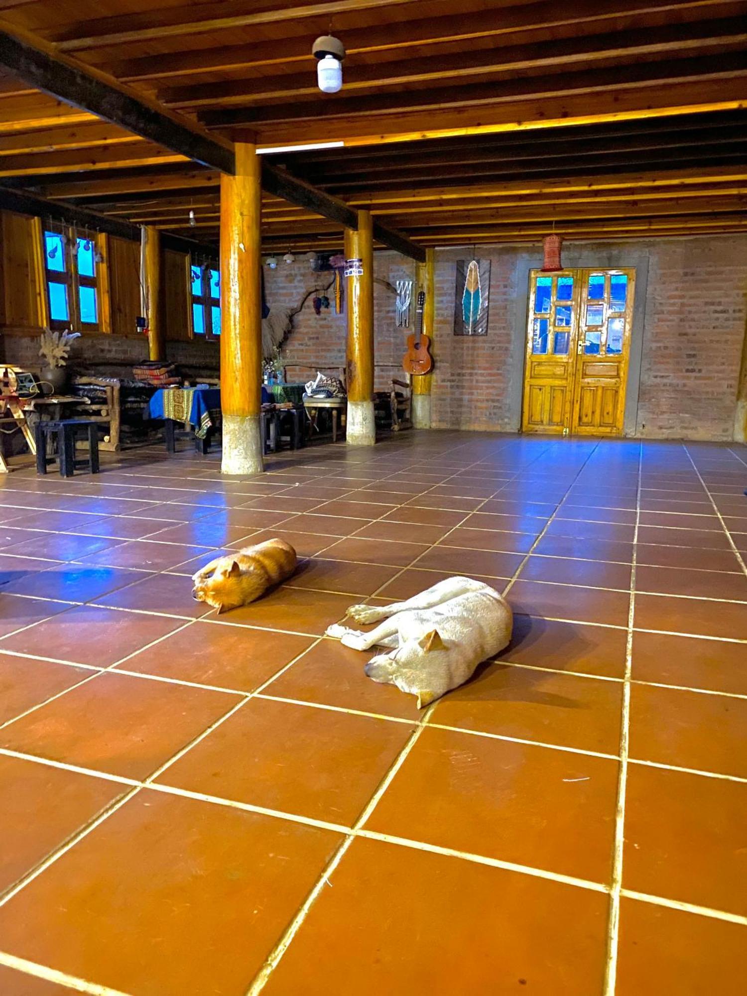 Pham'S House - Homestay & Cafe Sapa Exteriér fotografie