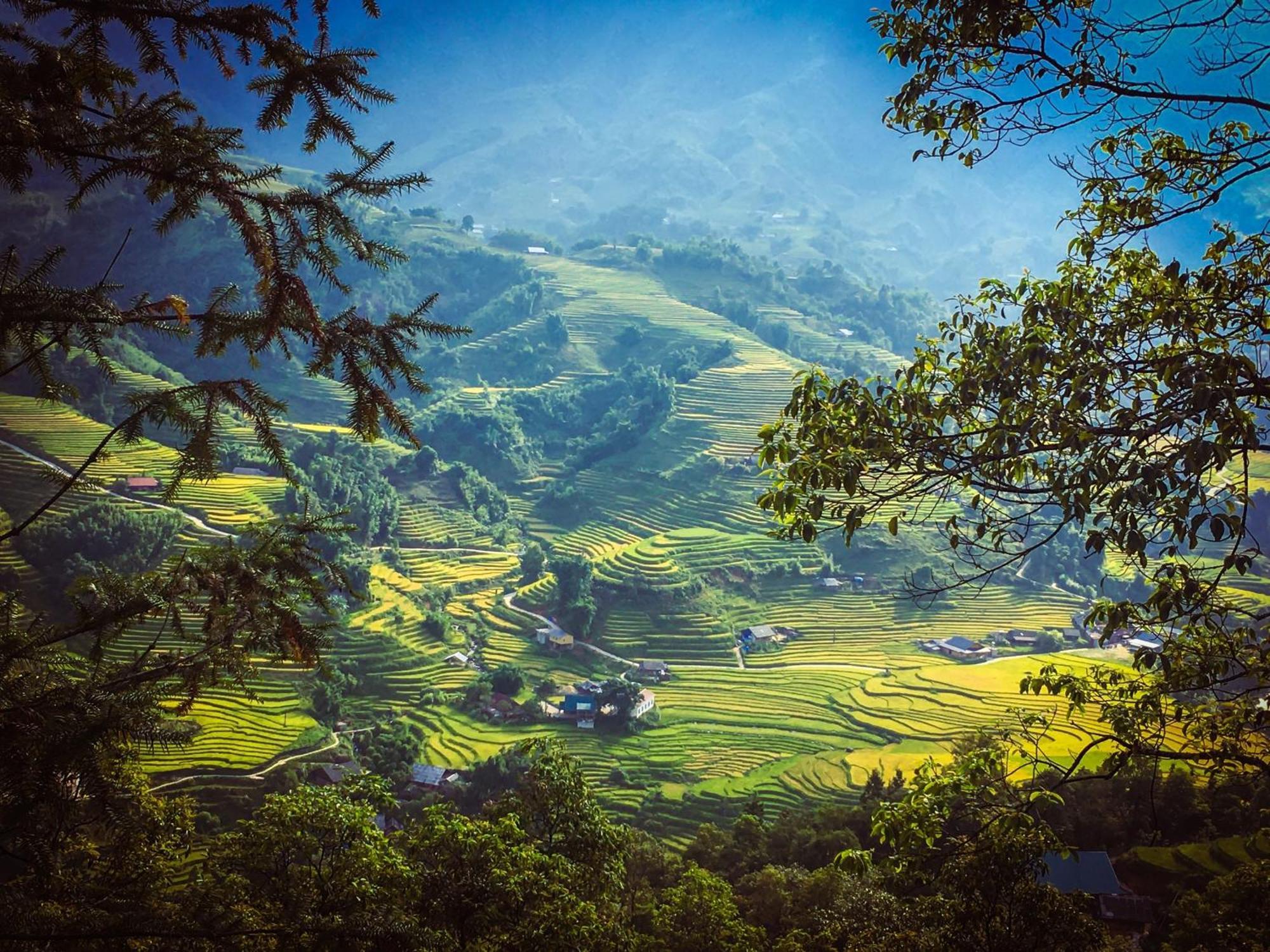 Pham'S House - Homestay & Cafe Sapa Exteriér fotografie